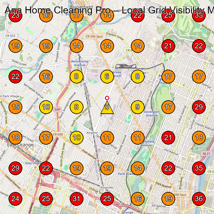 Ana Home Cleaning Pro GeoGrid visibility map for House Cleaning Service in None